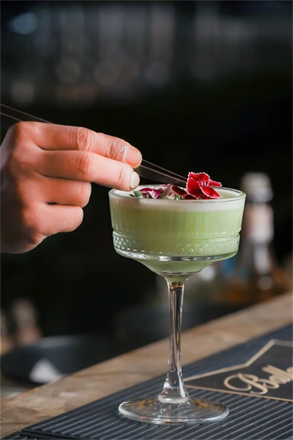 Chocolate Chip False Agave: My Proven Care Guide