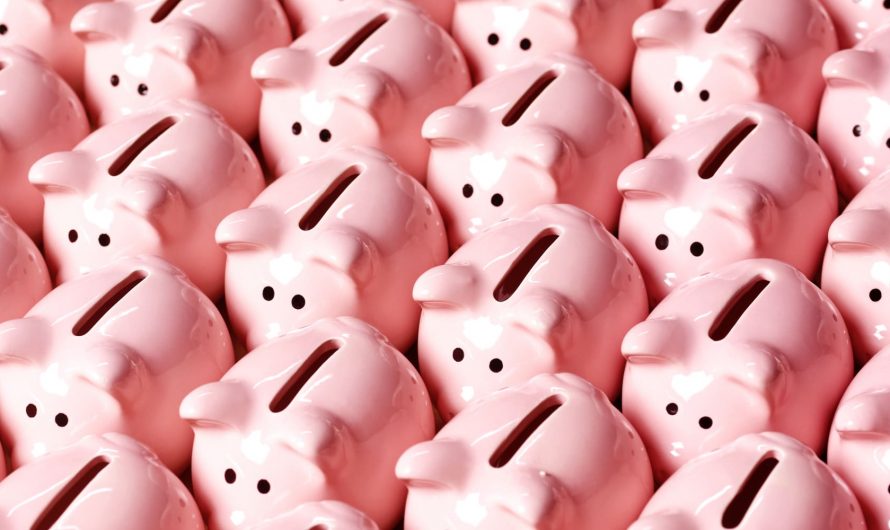 Best Strategies to Save Money in Your Daily Life