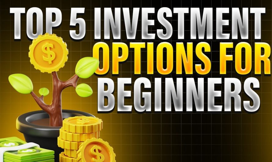 Top 5 Beginner-Friendly Investments to Start Building Wealth